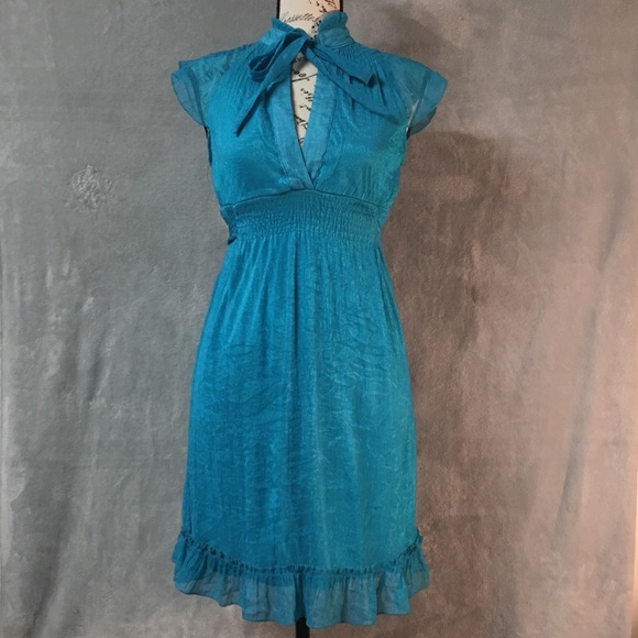 The Hanger Blue Ruffled Fit and Flare Dress Med - Picture 1 of 8